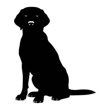 Sade beyaz bir arkaplana karşı dik duran bir köpek silueti. Köpek profil ile tasvir edilir, sola dönük, ön pençeleri birarada ve arka bacakları sıkışmış. Görünür detaylar kafasının, kulaklarının, burnunun ve gözlerinin şeklini içerir.