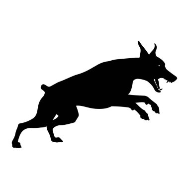 Siyah bir köpek silueti, sıçrayışın ortasında, vücudu gerilmiş ve öne doğru açılı bir şekilde yakalanır. Köpeğin ağzı homurdanarak açılır, keskin dişler ve agresif bir ifade ortaya çıkar. Kulakları sivri, kuyruğu kısa ve dik. Koyu siyah f