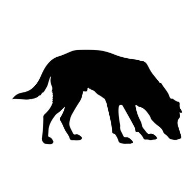 Bir köpeğin siyah silueti, beyaz bir arka planda, profilde tasvir edilir. Köpek, başını eğik ve ön pençeleri bükülmüş bir şekilde zemini koklarken yakalanır. Kuyruğu arkasından uzanıyor. Genel izlenim şu: