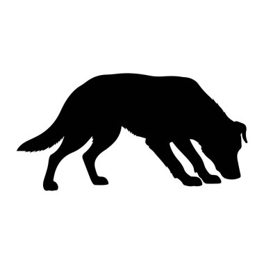 Bir köpeğin siyah silueti profilde tasvir edilir, başı yere eğik bir şekilde, sanki bir şeyi kokluyor ya da takip ediyormuş gibi. Köpek dört ayak üstünde, vücudu hafifçe kamburlaşmış ve kuyruğu uzatılmış. Siluet beyaz bir sırt ile kaplıdır.