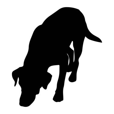 Beyaz arka planda siyah bir köpek silueti tasvir edilir. Köpek, başını yere doğru eğmiş ve vücudunu hafifçe bükmüş bir şekilde koklama pozisyonunda. Kuyruğu arkasından uzanıyor. Görüntü temiz ve grafik bir gösterimidir