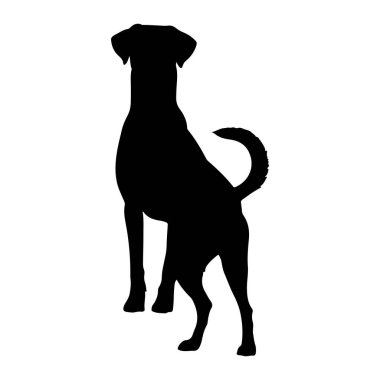 Siyah bir köpek silueti ön pençeleri hafifçe havada arka ayakları üzerinde duruyor. Köpeğin ince bir yapısı, uzun bir boynu ve yukarı doğru kıvrılmış bir kuyruğu vardır. Siluet, düz beyaz bir arkaplan üzerinde durarak basit ama dinamik bir görüntü oluşturuyor.