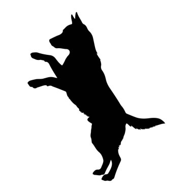 Bir köpeğin siyah silueti düz beyaz bir arka plana karşı arka ayaklarının üzerinde durarak tasvir edilir. Köpek tetikte ve hareket halinde, ön pençeleri havada görünüyor. Taslak keskin ve net, köpeğin şekli ve duruşunu vurguluyor..