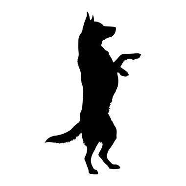 Siyah bir köpek silueti arka ayakları üzerinde duruyor, ön pençeleri havada. Köpek tetikte görünüyor ve sağa bakıyor. Arka plan bembeyaz, hayvanın şeklini izole ediyor..