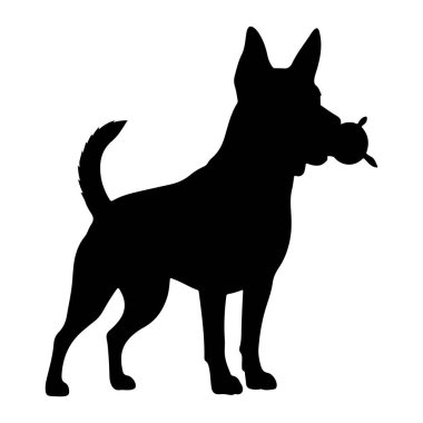 Beyaz arka planda duran siyah bir köpek silueti. Köpek ağzında iki çıkıntısı olan yuvarlak bir oyuncak tutuyor. Kulakları yukarıya dönük, kuyruğu yukarıda ve kavisli. Köpek tetikte ve oynamaya hazır görünüyor..