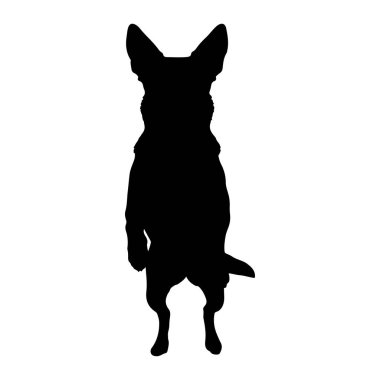 Önden dik oturan siyah bir köpek silueti tasvir edilir. Köpeğin dik duran büyük, sivri kulakları vardır ve bedeni düz beyaz bir arka plana karşı tamamen koyu siyah bir şekilde görülebilir. Ön bacakları bükülüp yerine konmuş.