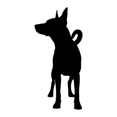Beyaz arka planda duran siyah bir köpek silueti tasvir edilir. Köpek başını hafifçe öne çevirmiş bir şekilde sola bakıyor. Dik tutulan sivri kulakları ve yukarı doğru kıvrılmış bir kuyruğu vardır. Siluet açıkça bunu özetliyor.