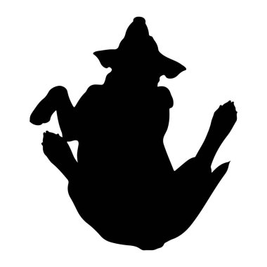 Sırtında siyah bir köpek silueti tasvir edilir, bacakları yukarı ve dışarı doğru açılır. Köpeğin kafası arkaya eğilmiş ve kulakları görülebiliyor. Silüet, düz beyaz bir arkaplan üzerinde izole edilmiş. Bu da tam bir zıtlık yaratıyor. Pozisyon