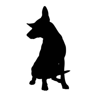 Saf, siyah bir köpek silueti, saf beyaz arka planda tasvir edilir. Köpek oturma pozisyonunda, vücudu hafifçe sola dönük ve kafası aynı yöne dönük. Kulakları yukarıya dönük, bu da alarmda olduğunu gösteriyor.