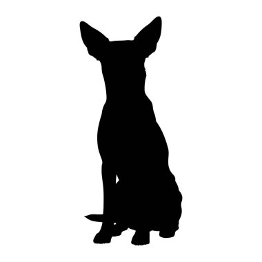 Sade, beyaz bir arka plana karşı dik duran bir köpek silueti tasvir edilir. Köpeğin dikleşen belirgin büyüklükte sivri kulakları var. Bu da tetikte olduğunu gösteriyor. Vücudu ön pençeleri görünür bir pozisyonda oturmaktadır. Evet.