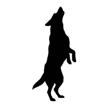 Bir köpeğin siyah silueti arka ayakları üzerinde duruyor, başı arkaya eğik ve ağzı sanki uluyormuş gibi açık. Siluet düz beyaz bir arkaplan üzerinde durarak hayvanın şeklini ve duruşunu vurguluyor..