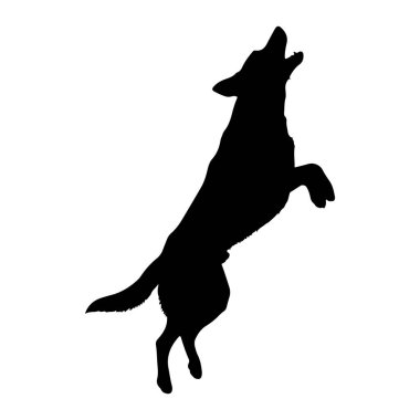 Bir kurt silueti orta sıçrayışta tasvir edilir, kafası geriye doğru fırlatılır ve bir ulumanın içinde ağzı açılır. Hayvanın vücudu güçlü kas yapısını ve dinamik hareketini gösteren enerjik bir pozda kıvrılmış. Siyah olanın katıksız kontrastı.