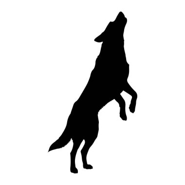 Siyah bir kurt silueti arka ayakları üzerinde durur, başı arkaya eğik ve ağzı bir ulumanın içinde açılır. Kurt bembeyaz bir arkaplana karşı tasvir edilir, şeklini ve duruşunu vurgular. Görüntü, hayvanın katıksız, grafik bir temsilidir.