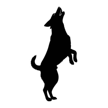 Siyah bir kurt silueti arka ayakları üzerinde durur, başı arkaya eğik ve ağzı bir ulumanın içinde açılır. Kurt bembeyaz bir arkaplanda tasvir edilir..