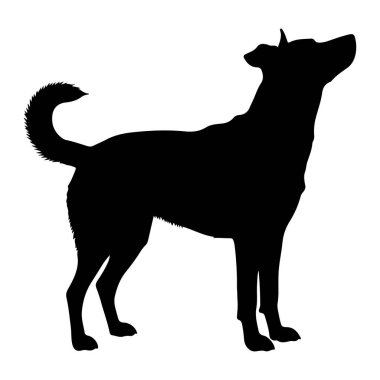 Beyaz arka planda duran siyah bir köpek silueti. Köpek sağa bakıyor ve başını eğik bir şekilde yukarı bakıyor. Kuyruğu yukarı doğru kıvrımlı ve kulakları permalı. Siluet açıkça köpeğin vücudunu, bacaklarını, pençelerini, kuyruğunu, bir