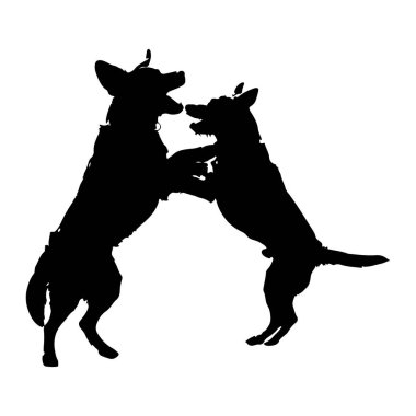 İki siyah köpek silueti, düz beyaz arka plan ile dinamik bir etkileşimde tasvir edilir. Ağızları açık, sanki havlıyor ya da oynuyormuş gibi arka ayakları üzerinde birbirlerine bakıyorlar. Ön pençeleri kalkıyor ve... 