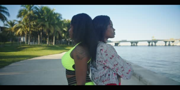 Movimento Lento Duas Jovens Afro Americanas Sorrindo Para Câmera Enquanto — Vídeo de Stock