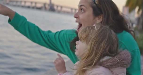 一个母亲和她美丽的小女孩在水边晃悠 指指点点着东西的慢动作特写镜头 — 图库视频影像