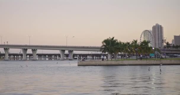 Tiro Área Água Área Bayside Miami — Vídeo de Stock