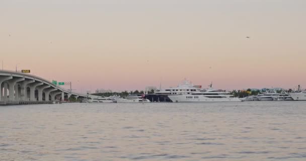 Shot Water Boat Bridge Miami Sunset — Stock video
