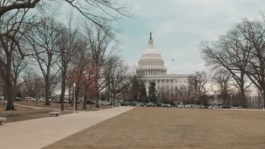 Washington, DC 'deki Amerikan Kongre Binası' nın parkından gündüz çekimleri. Yüksek kalite 4k görüntü