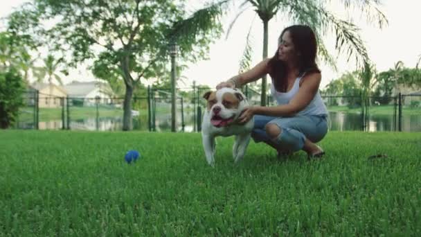 Lambat Gerak Ditembak Seorang Wanita Bermain Dengan Amerika Bulldog Halaman — Stok Video