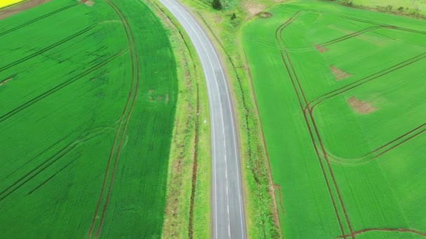 Vue Aérienne Par Drone Route Vide Dans Champ Vert Dans — Video