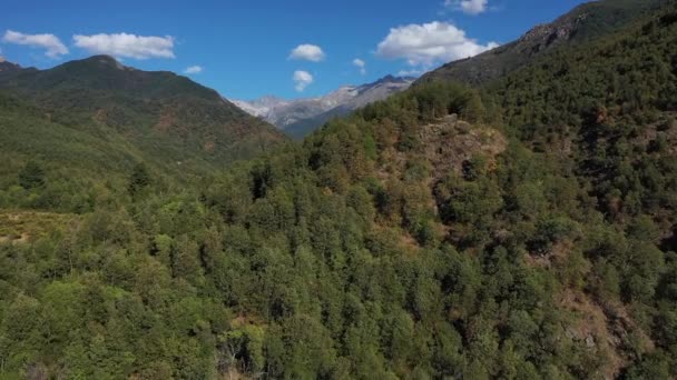 Uitzicht Drone Vanuit Lucht Bergrivier Het Groene Bergbos Landschappen Van — Stockvideo