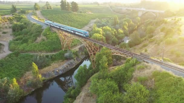 从空中拍摄的蓝色列车穿过智利梅勒区一座美丽的桥 背景是阳光灿烂的葡萄园 — 图库视频影像