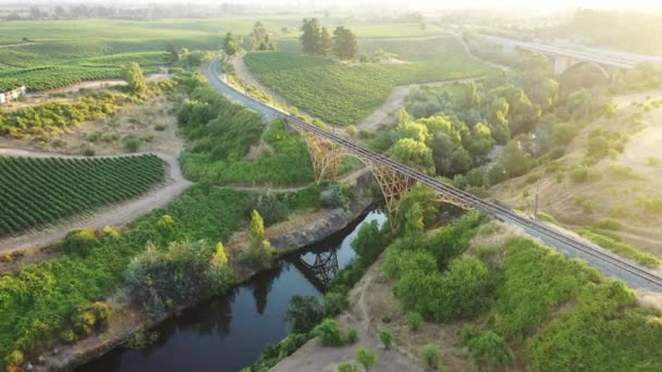 Mavi Trenin Şili Bölgesindeki Güzel Köprüyü Geçerken Havadan Çekilmiş Görüntüleri — Stok video
