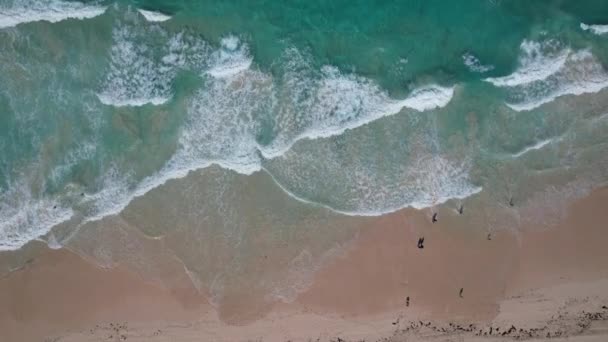 아름다운 도미니카 공화국의 모래와 놀라운 — 비디오