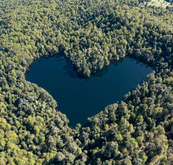 stock image Heart lagoon, Laguna Corazon, Chile. Drone top down view go lagoon with the shape of a heart surrounded by forest, near Liquine, Region Los Lagos Chile.