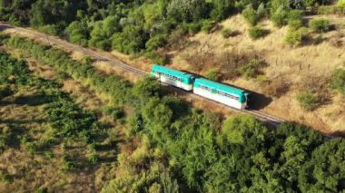 Ormanda otlanan tren, Şili 'de Constitucion yakınlarında Maule nehrinin kıyısında şaraphaneler..