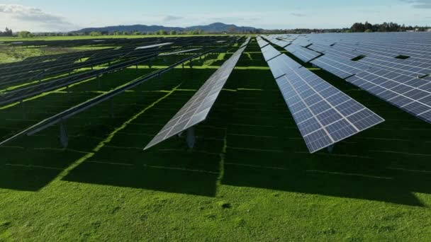 Widok Góry Nowej Farmy Słonecznej Rzędy Nowoczesnych Fotowoltaicznych Paneli Słonecznych — Wideo stockowe