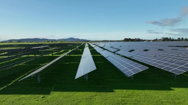 Horní Pohled Novou Sluneční Farmu Řady Moderních Fotovoltaických Solárních Panelů — Stock video