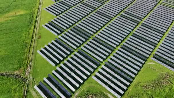 Вид Сверху Новую Солнечную Ферму Ряды Современных Фотоэлектрических Солнечных Панелей — стоковое видео