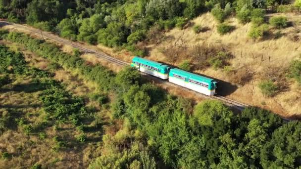 火车在森林中穿梭 酒厂在智利宪法附近的Maule河岸上孤独地穿梭 — 图库视频影像