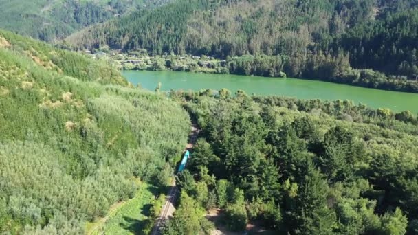 森の中を移動する列車 チリの憲法近くのモール川の岸に沿ってワイナリー — ストック動画