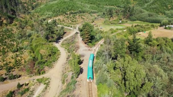 Tren Que Desplaza Por Bosque Bodegas Alonong Las Orillas Del — Vídeos de Stock