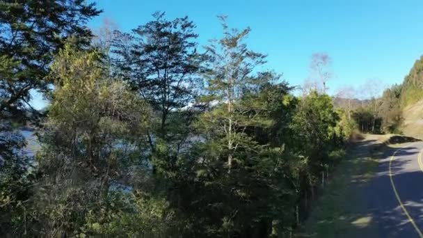 Αεροφωτογραφία Του Ηφαιστείου Και Της Λίμνης Villarica Στη Νότια Χιλή — Αρχείο Βίντεο
