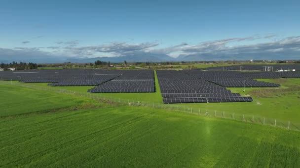 Ökologie Sonnenkollektoren Den Feldern Grüne Energie Bei Sonnenuntergang Landschaft Elektrische — Stockvideo