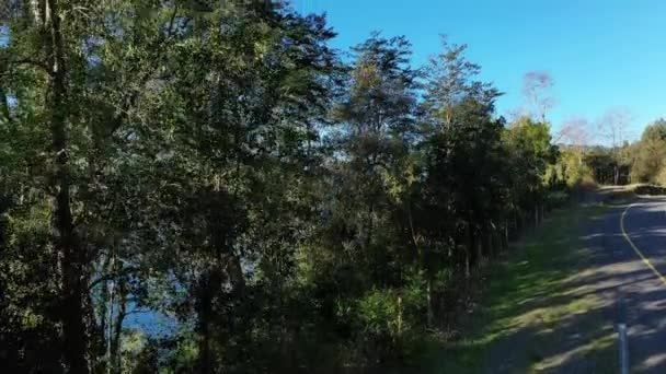 智利南部维拉里卡火山和湖泊的空中景观 — 图库视频影像