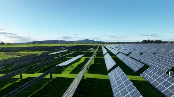 Vista Superior Una Nueva Granja Solar Filas Paneles Solares Fotovoltaicos — Vídeo de stock