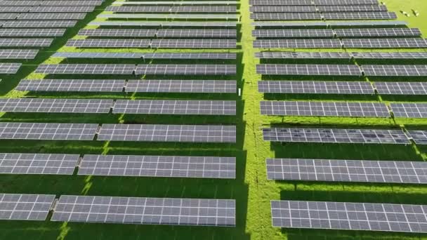 一个新的太阳能农场的俯瞰 绿地旁边的一排现代光伏太阳能电池板 — 图库视频影像