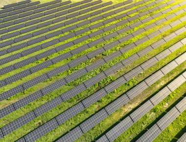 Yazın sahada güneş panelleri, hava aracı görüntüsü.
