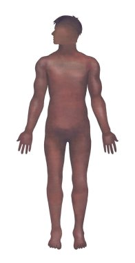 Koyu ten rengi ve anatomik tasarım için boş bir yüzeye sahip erkek vücudunun gölgelenmiş suluboya silueti.