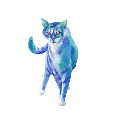 Turkuaz ve mavi suluboya sokak kedisi küstahça seyirciye doğru yürüyor. Beyaz arka planda izole edilmiş elle boyanmış bir resim.