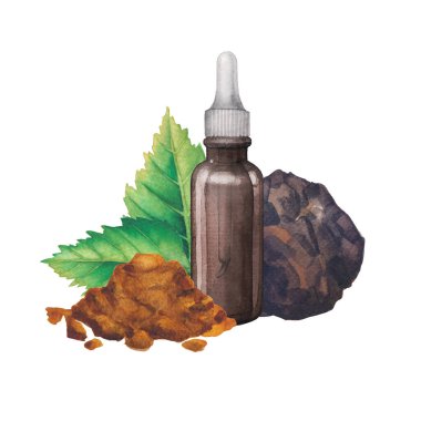 Chaga mantarı, huş yaprağı ve pudrayla süslenmiş gerçekçi suluboya cam şişe. El yapımı tasarım siyah bir arkaplanda izole edilmiş.