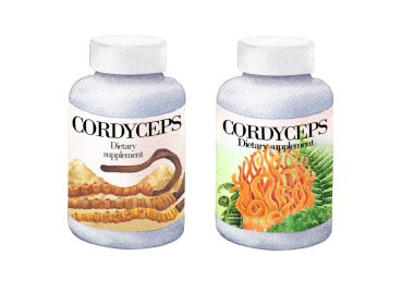 Cordyceps mantar ilavelerinin gerçekçi suluboya plastiği. El boyası set beyaz bir arkaplanda izole edildi