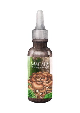 Beyaz arka planda izole edilmiş Maitake mantarından yapılmış gerçekçi bir suluboya şişe. Elle boyanmış tasarım